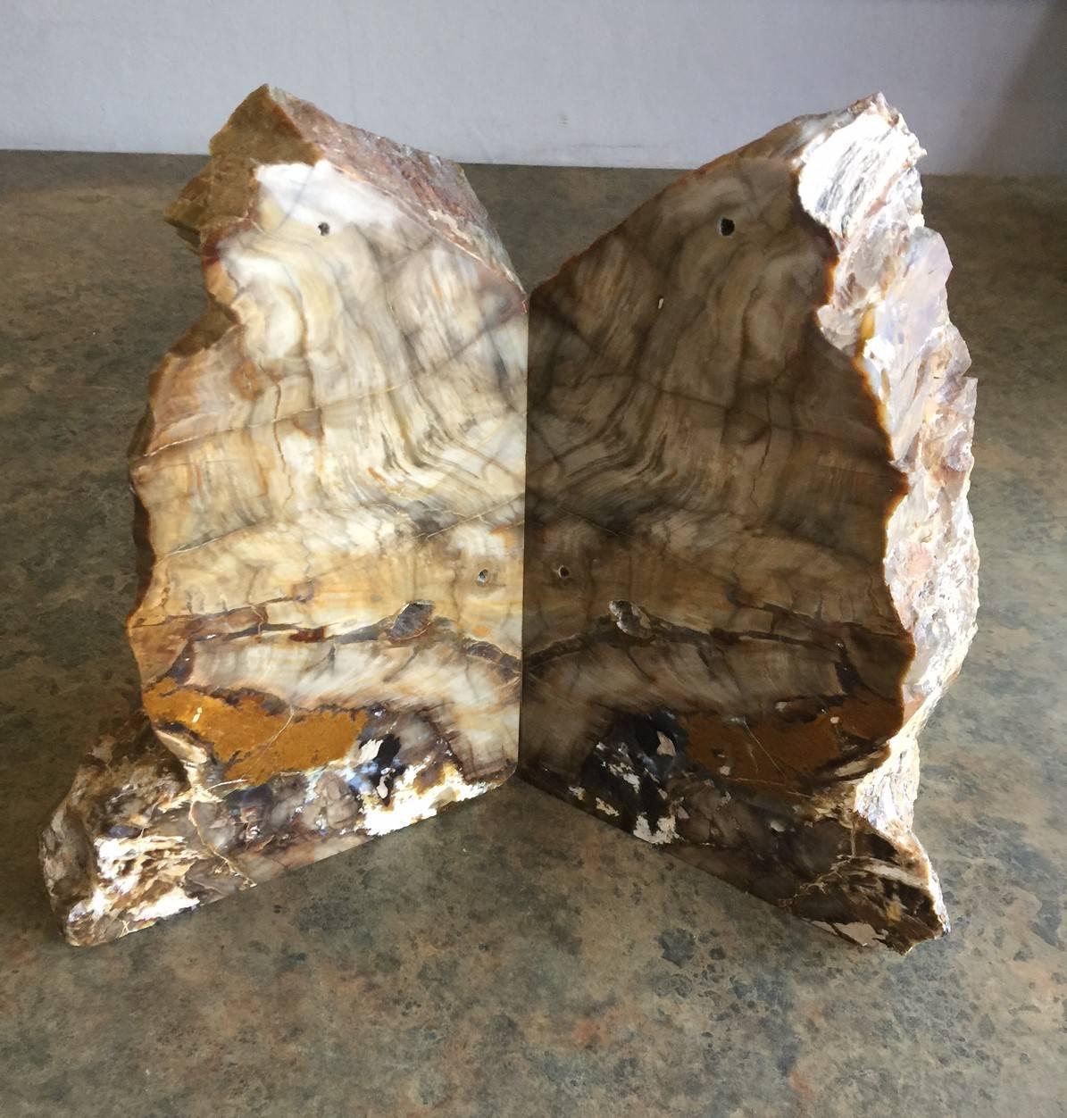 Organic Modern Impressive Pair of Petrified Wood Bookends