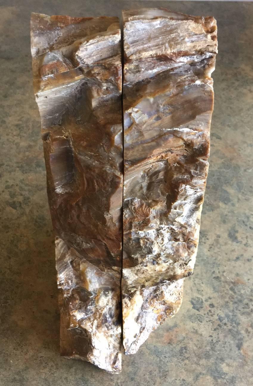 Unknown Impressive Pair of Petrified Wood Bookends