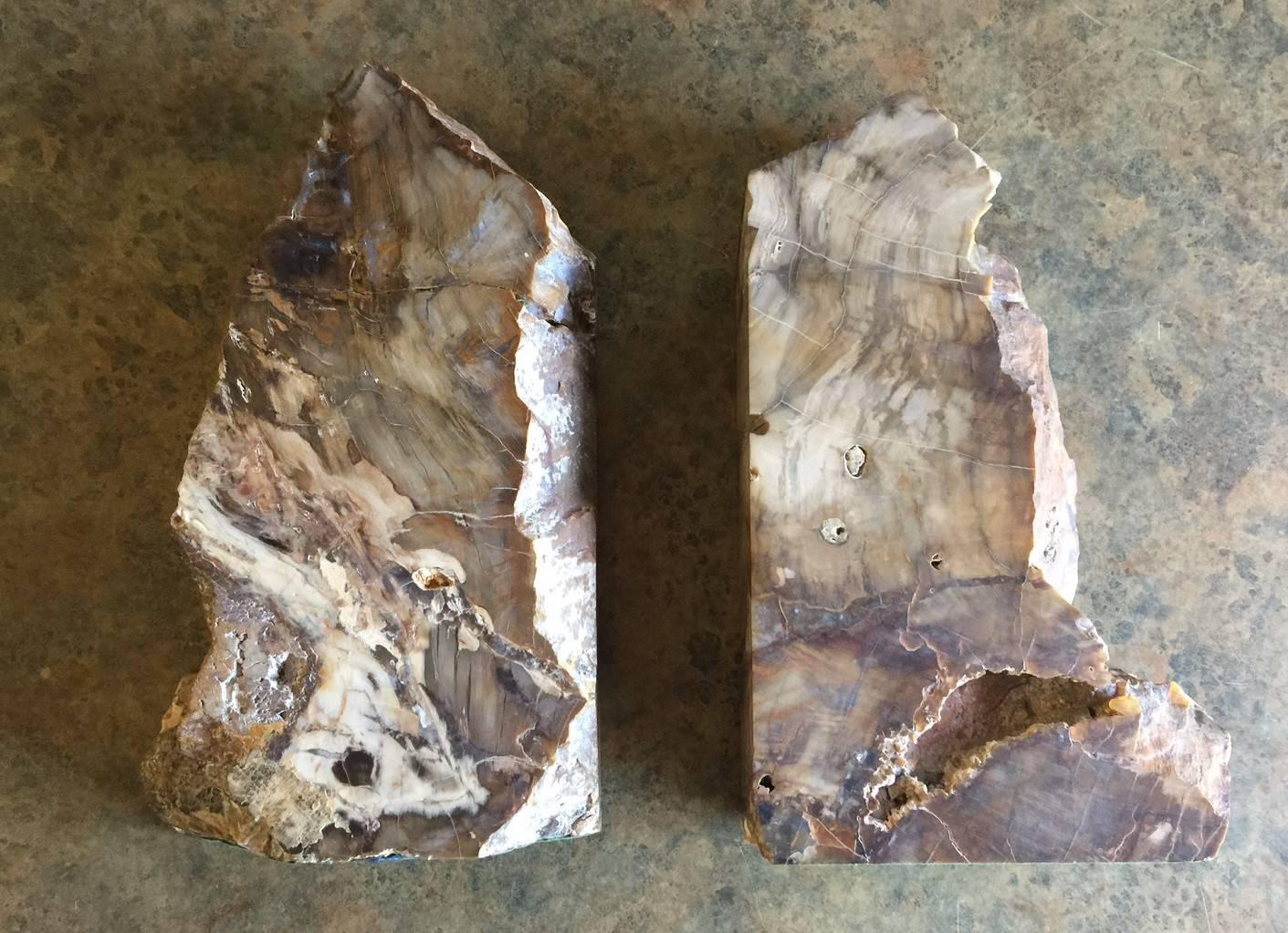 Impressive Pair of Petrified Wood Bookends 1