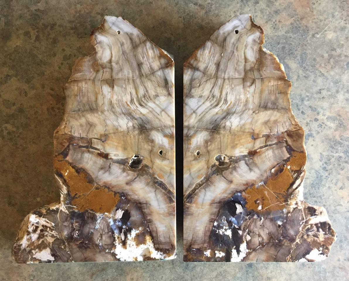 Impressive Pair of Petrified Wood Bookends 2