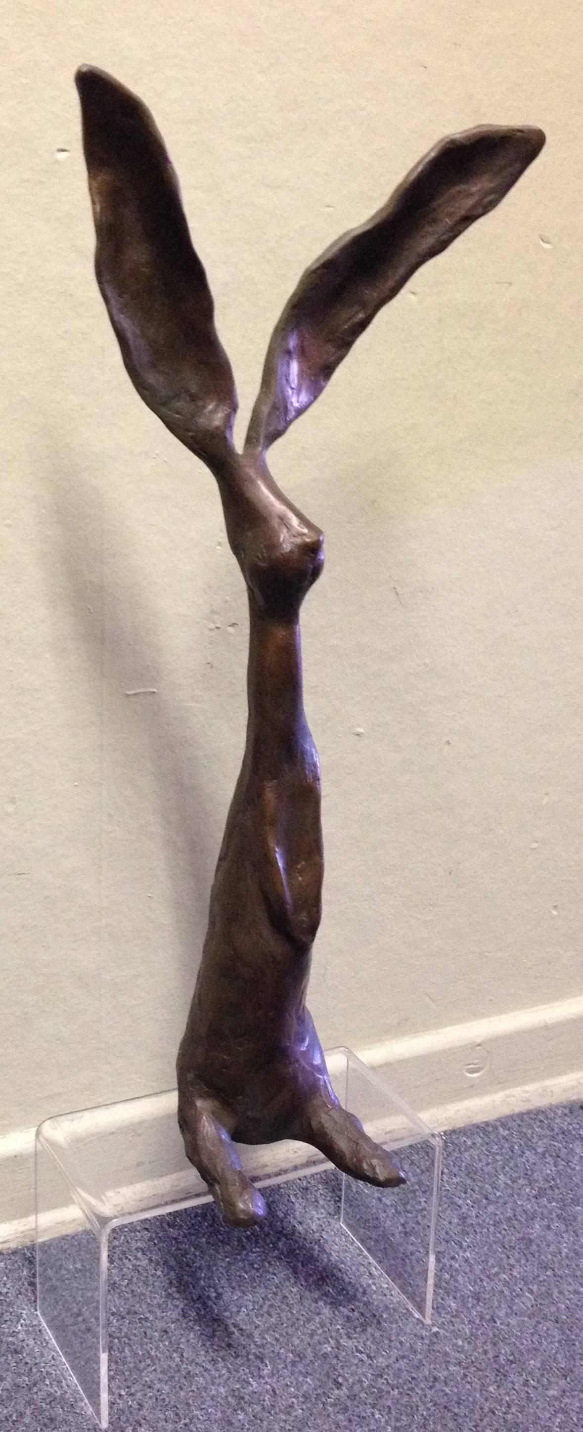 jim budish chauncey for sale