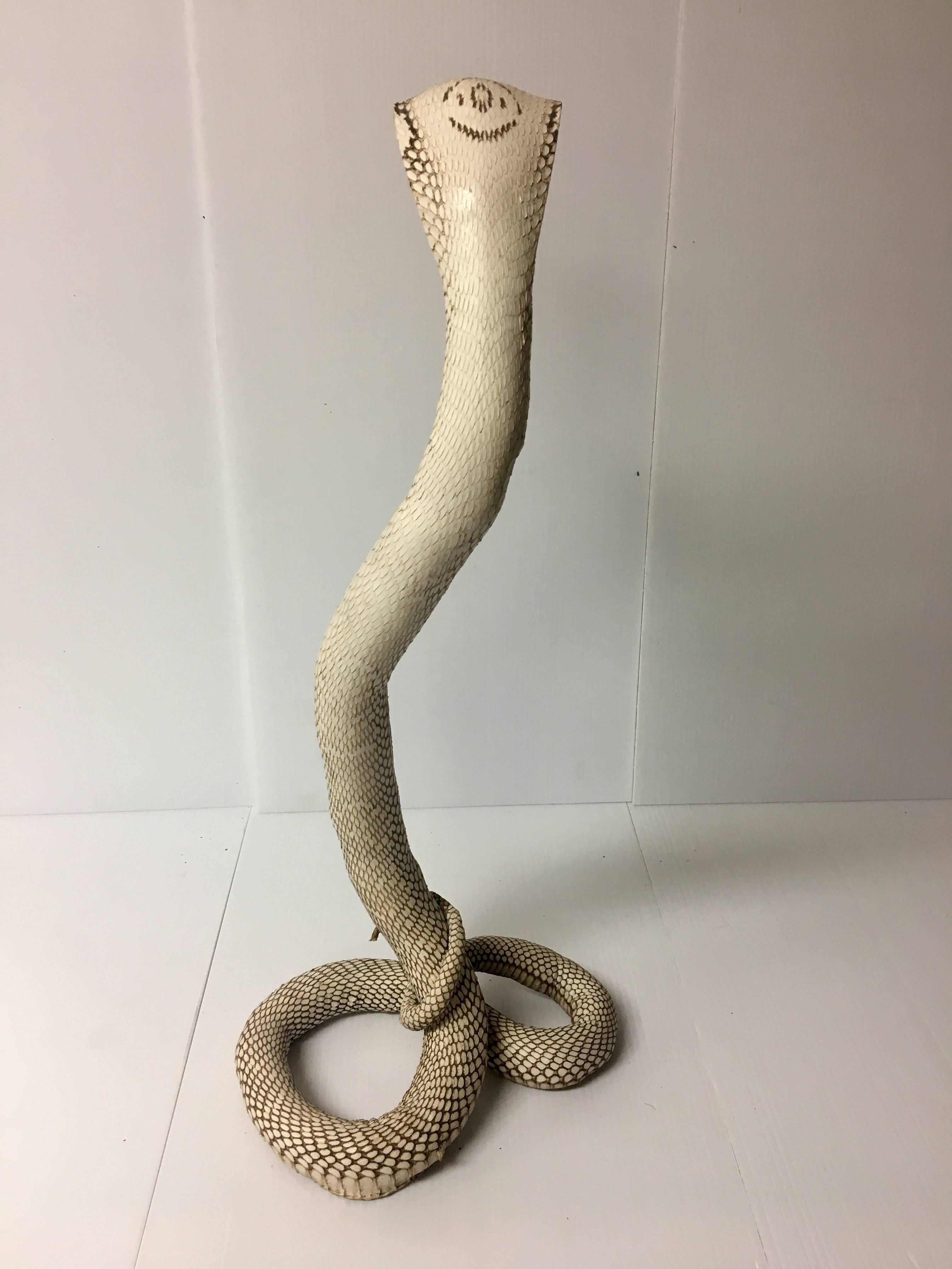 king cobra taxidermy