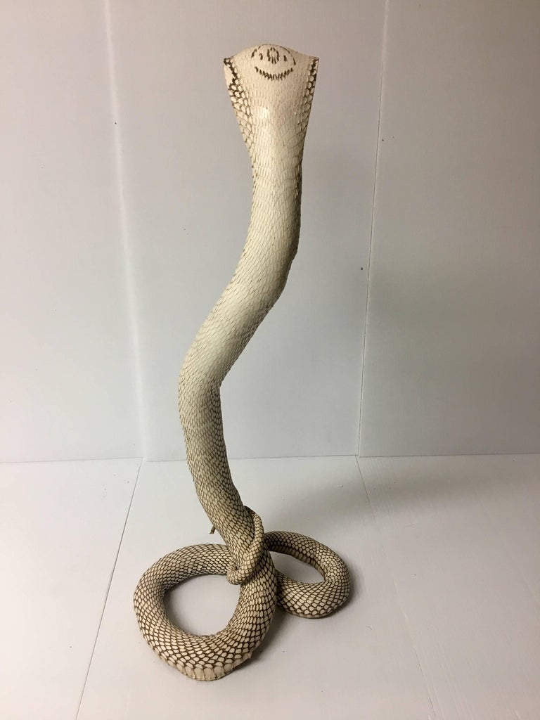 Authentic King Cobra / Snake Taxidermy Sculpture Vintage Rare at 1stDibs