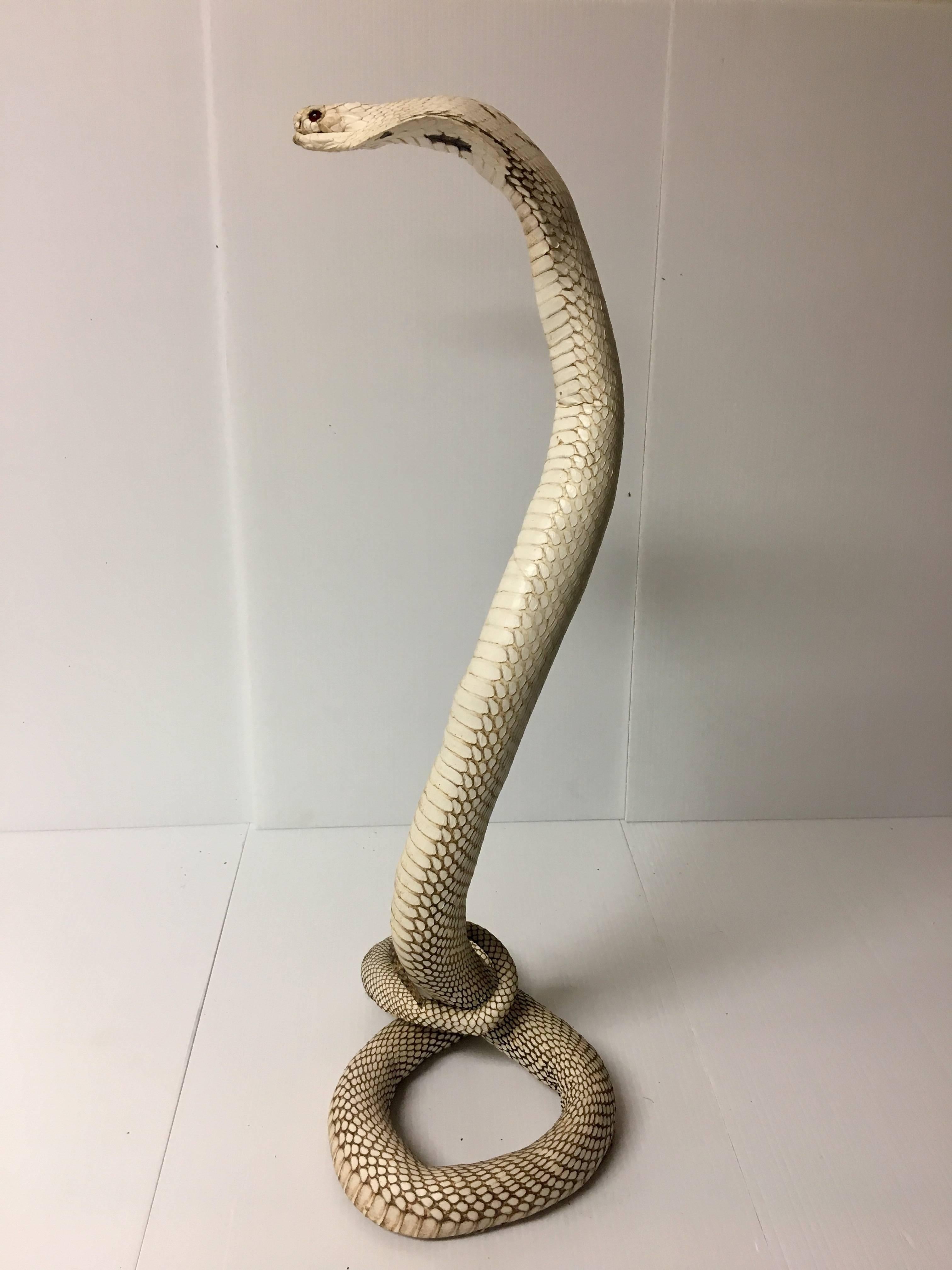taxidermy king cobra