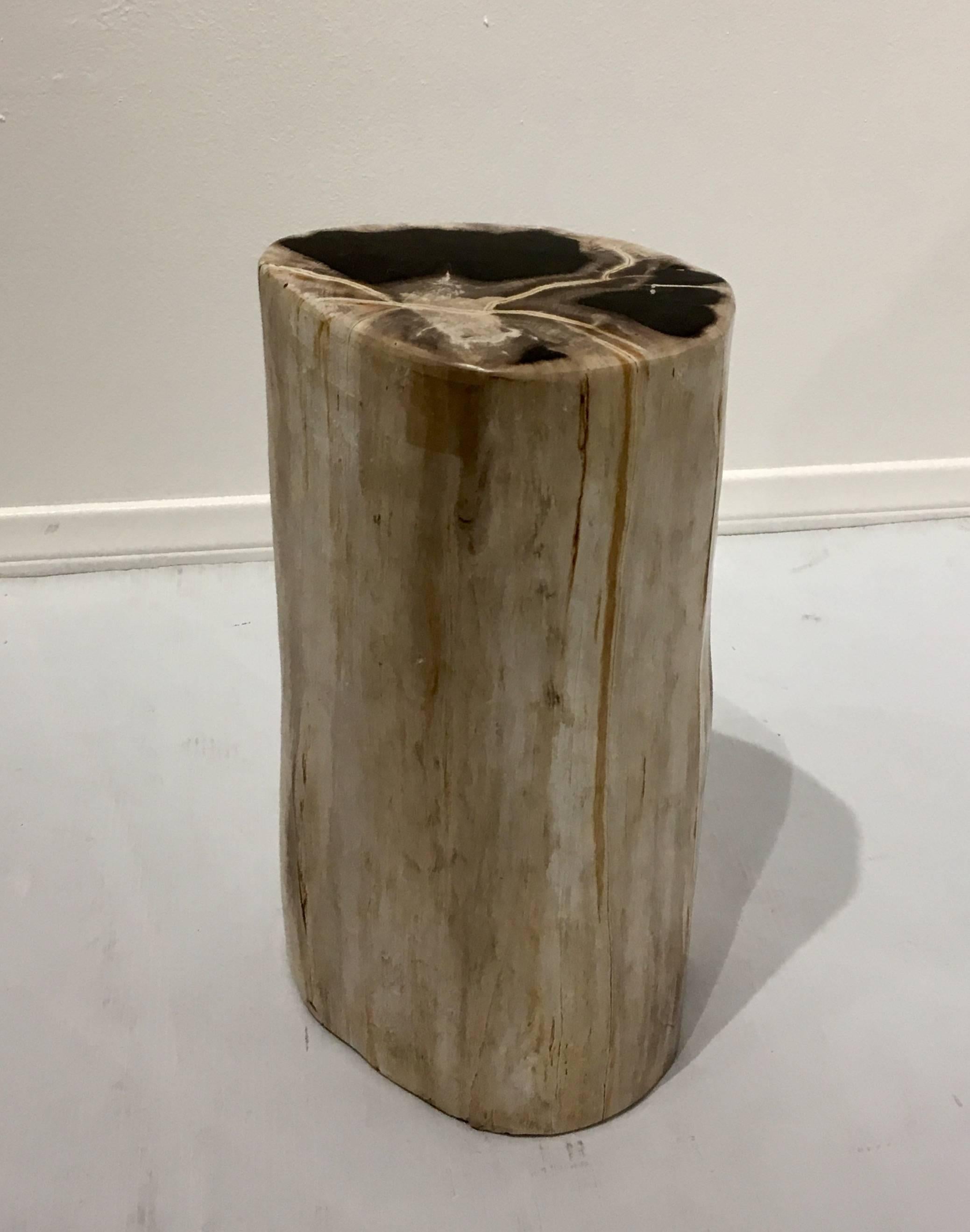 Eclectic Petrified Wood Side Table In Excellent Condition In San Diego, CA