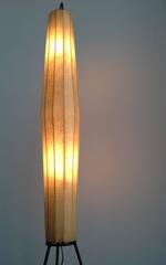 First Edition H. Klingle Lugano Floor Lamp for Artimeta, 1957