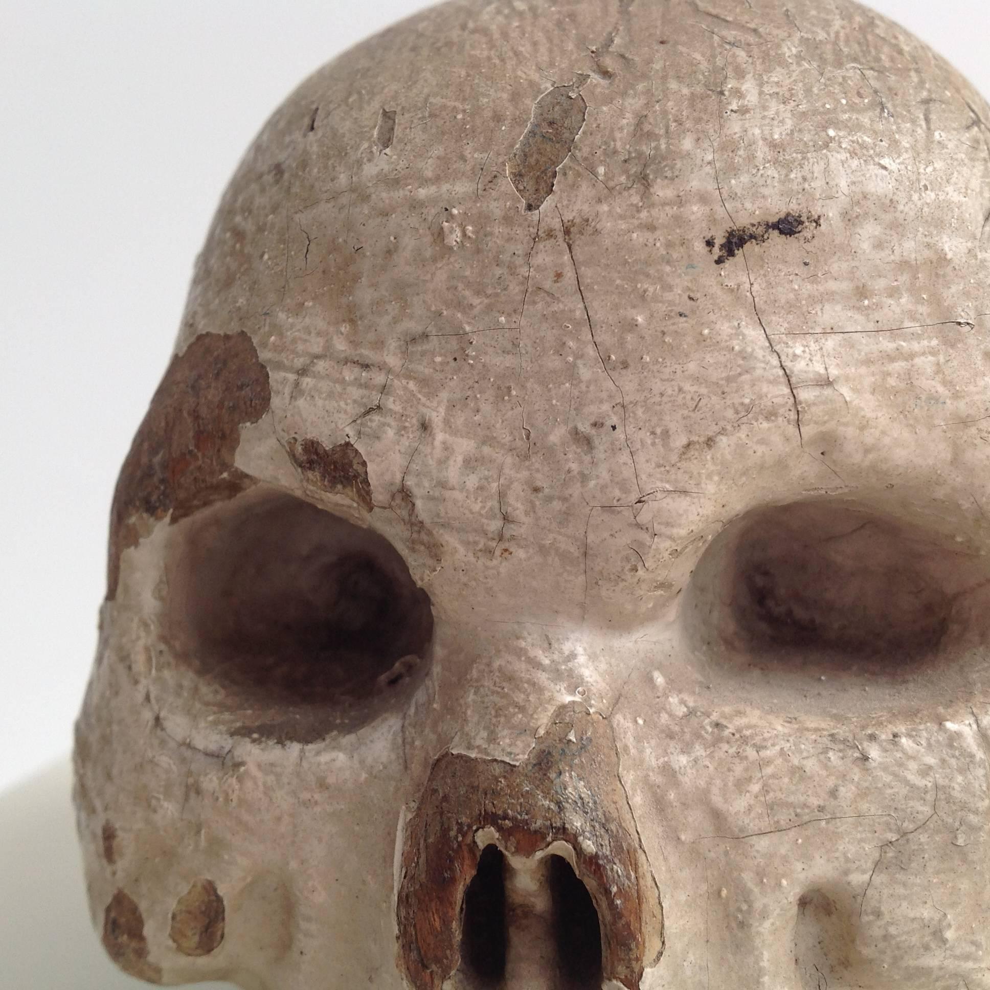 Wooden Skull, 18th Century For Sale 4