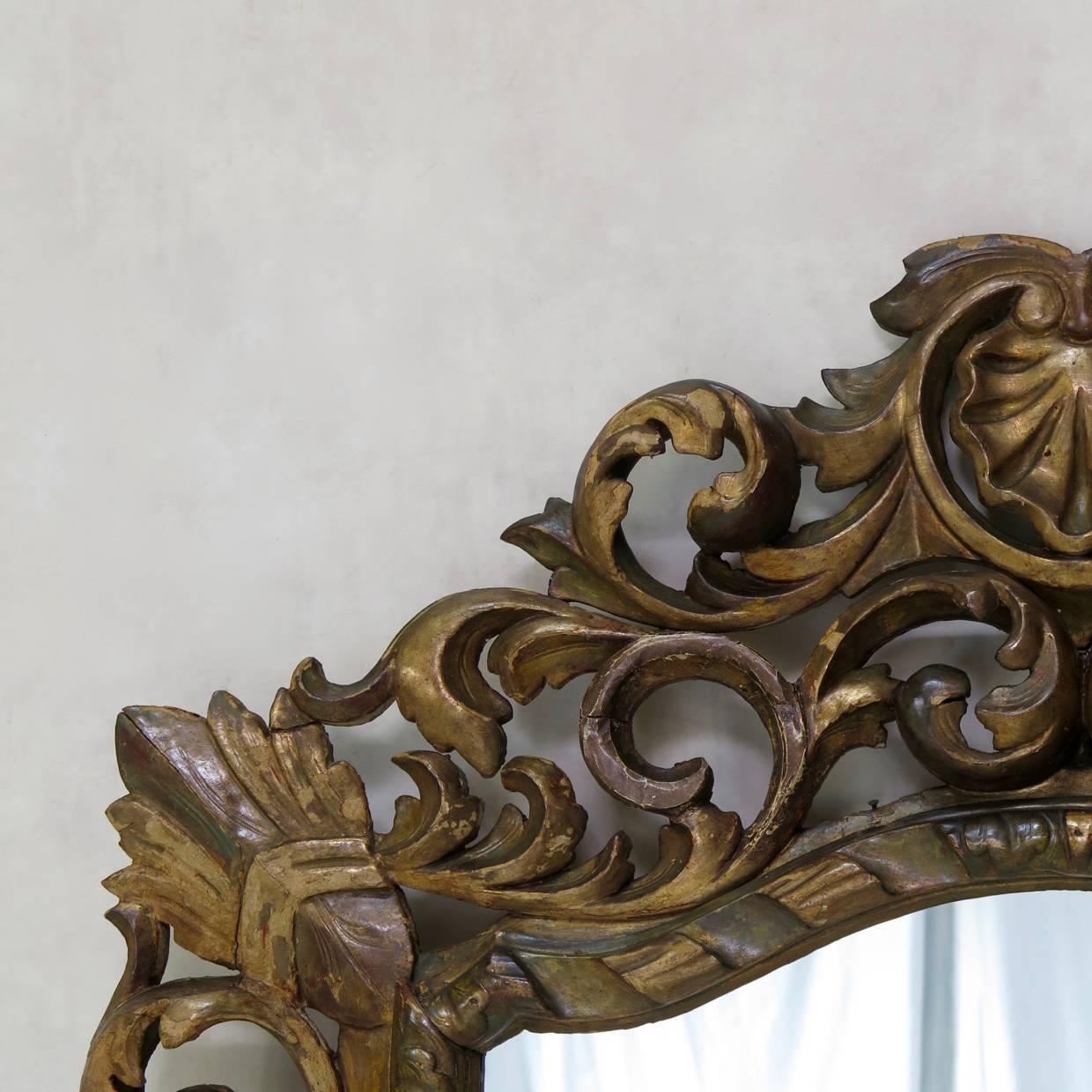 Large and elaborately carved baroque mirror, with acanthus leaf and shell detail.