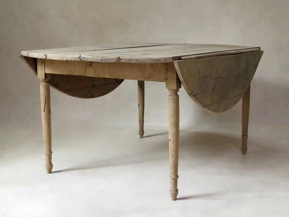 A large, circular oak dining-table of elegant and rare proportions, with a shabby-chic, country feel to it. The wood is nicely weathered. Raised on slender, turned legs. Fully extended, the table can seat six people comfortably eight snugly.