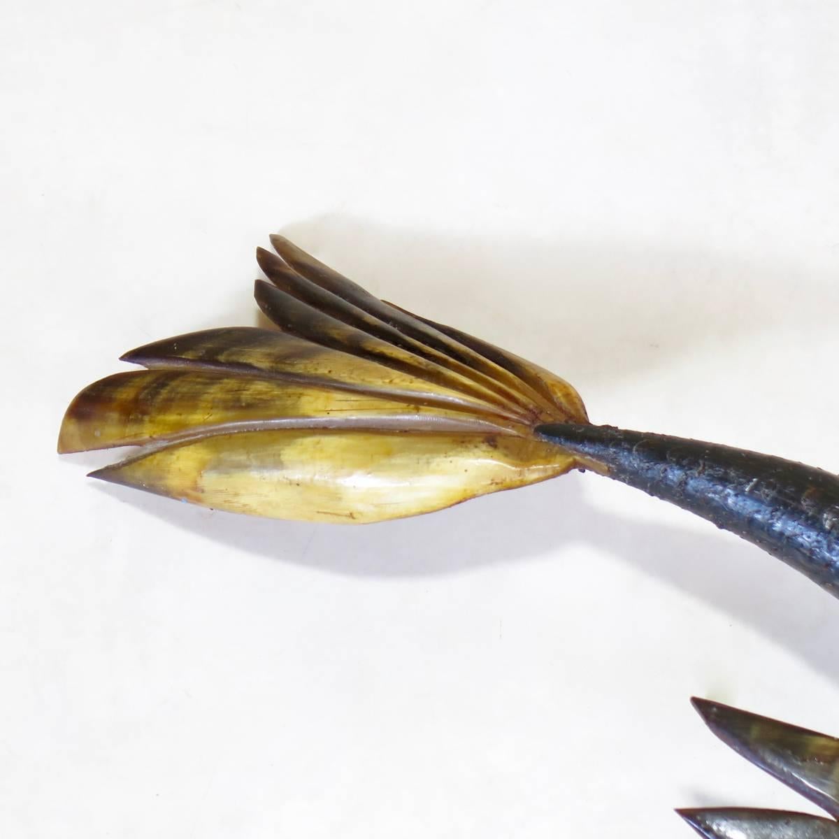 Pair of Bull Horn Fish Sculptures, France, circa 1960s For Sale 1