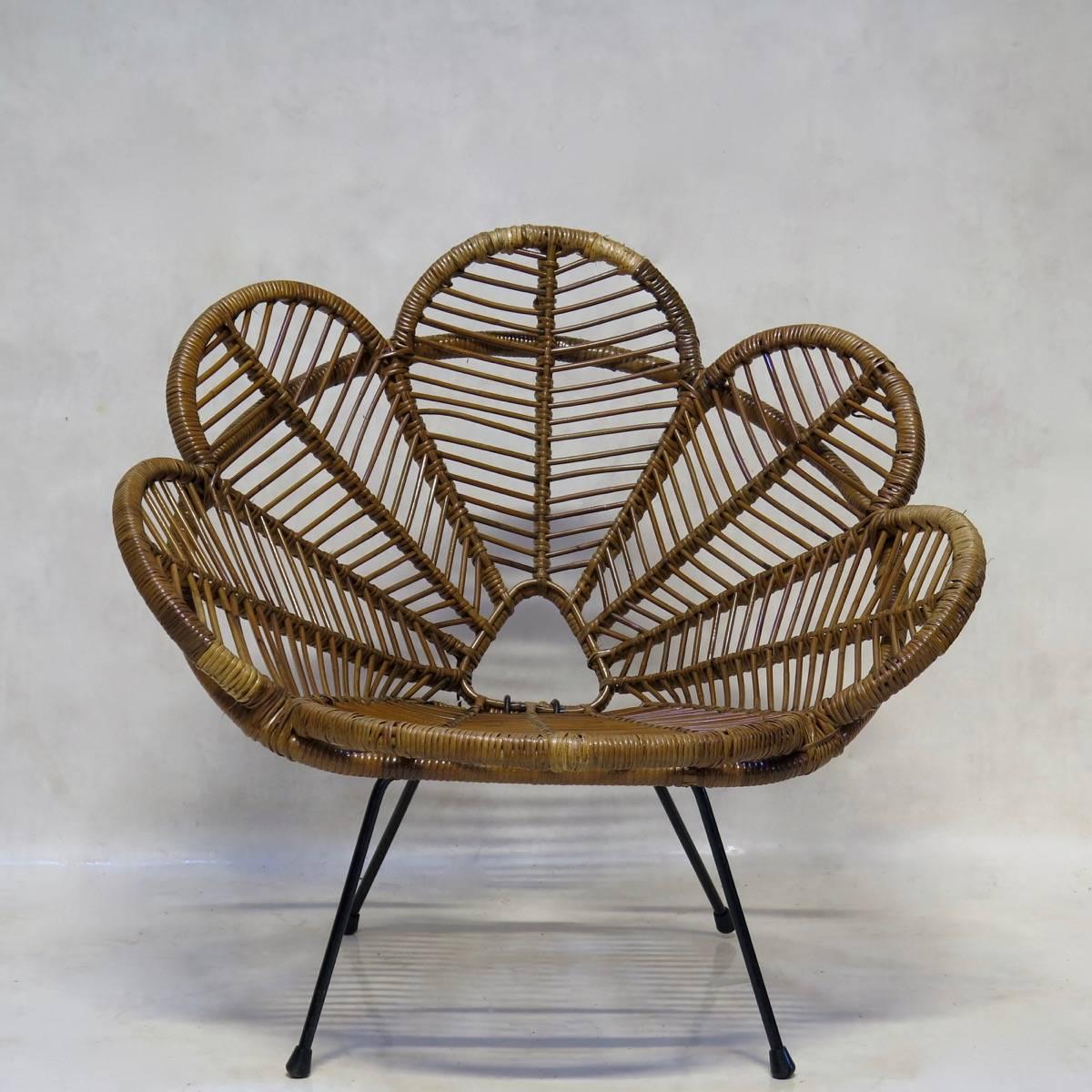 Pair of rattan lounge chairs, with unusual, flower petal shaped seats and backs, raised on black-painted iron structures.
