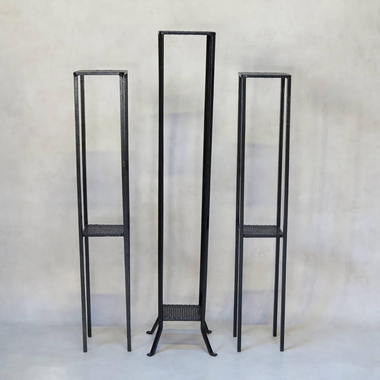 Mid-Century Modern Collection of 9 Iron Plant Stands - France, 1950s