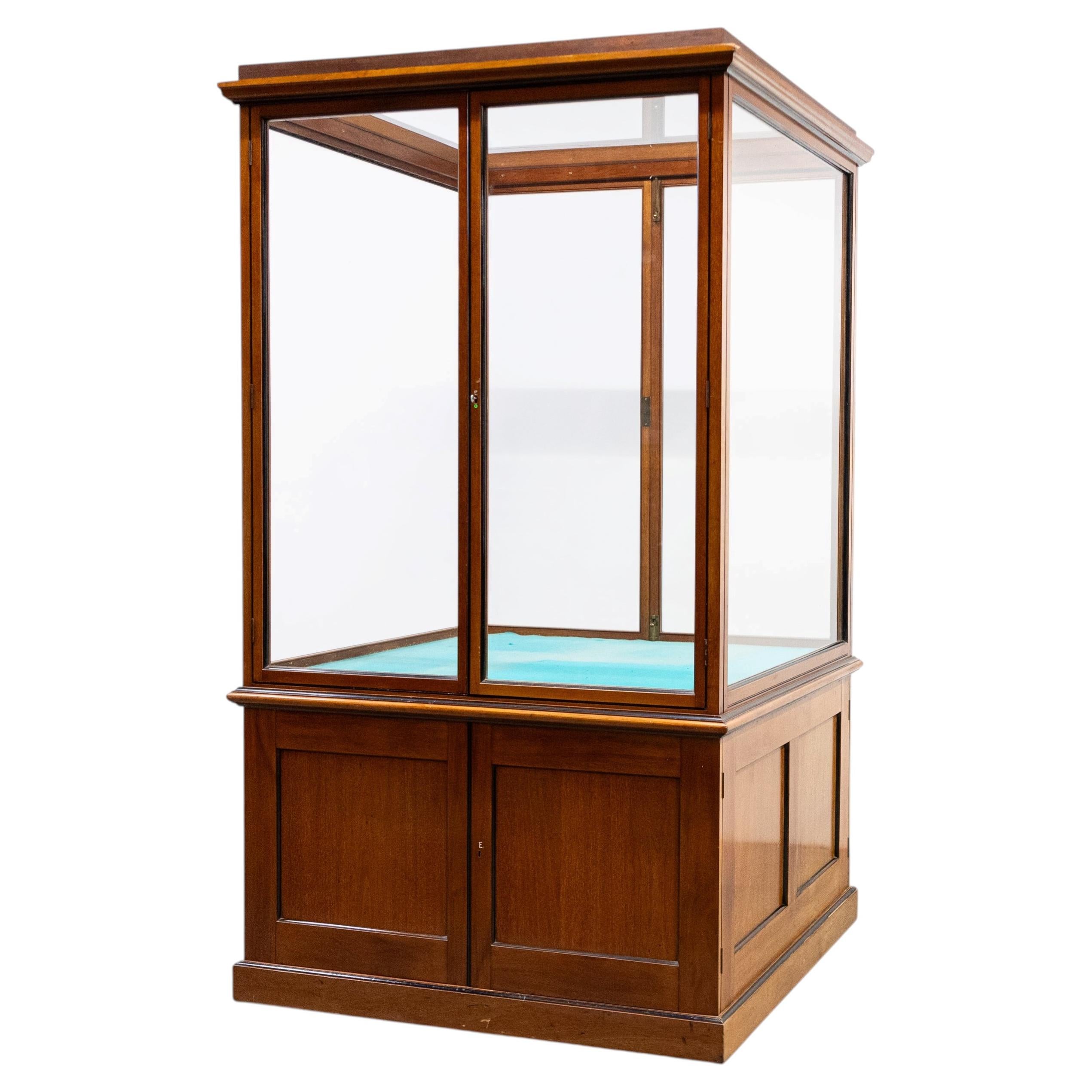 Antique Victorian Mahogany Museum Display Case For Sale