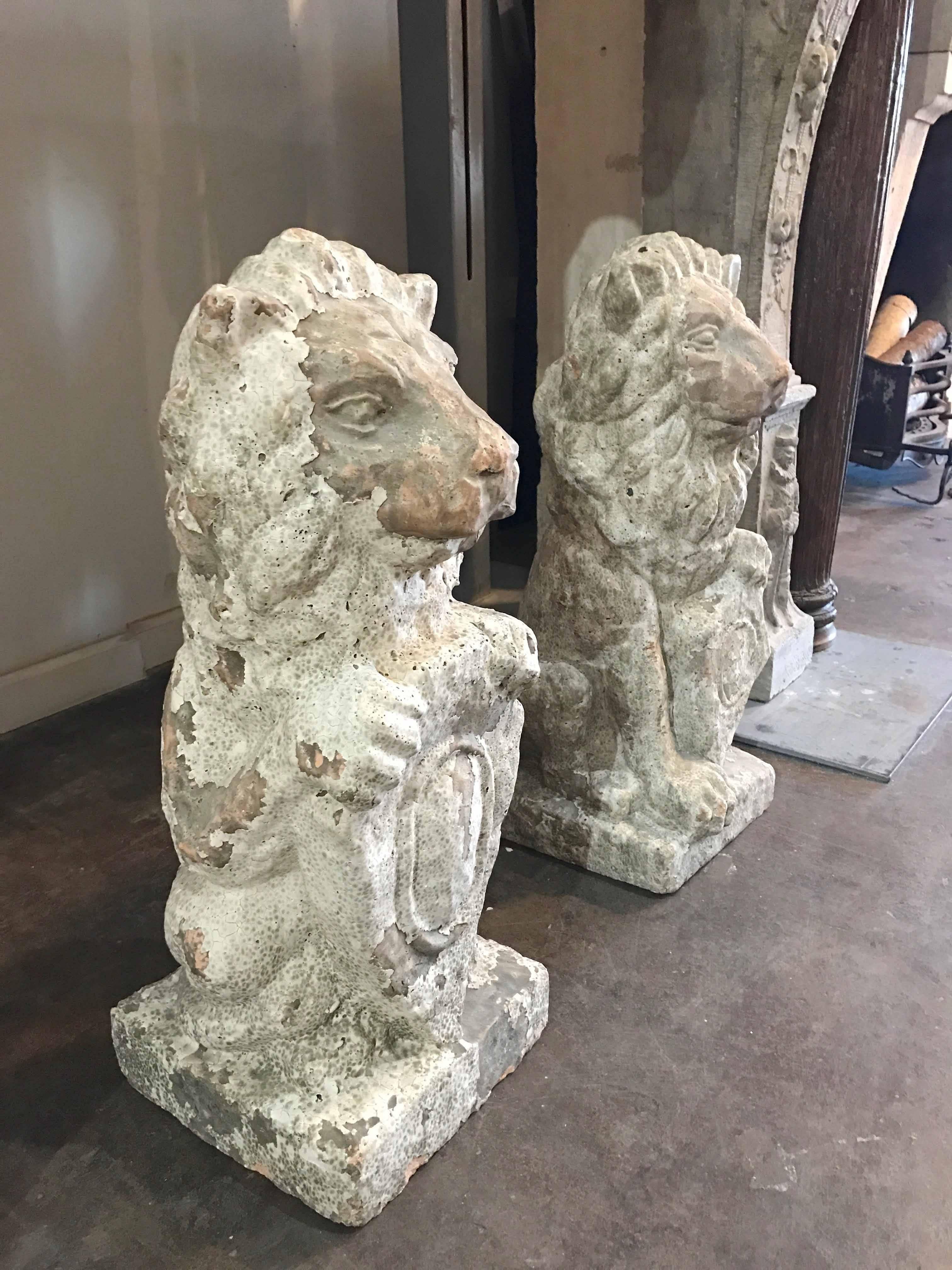 Pair of French terracotta lions, a charming addition to any setting.

 Origin: France 

circa 1850

 Measurements: 10