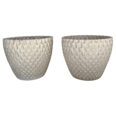 Planters and Jardinieres