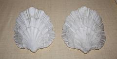 Pair of Serge Roche Style Shell Plaster Wall Sconces