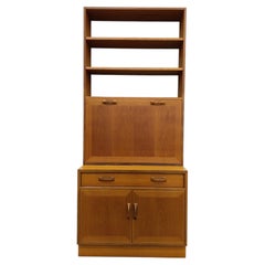 Vintage G Plan Mid Century Modern Teak Bookshelf Cabinet