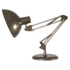 Lupela Adjustable Articulated Desk Lamp, Spain, 1970s
