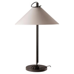 Enzo Mari & Giancarlo Fassina Aggregato Table Lamp for Artemide, 1974