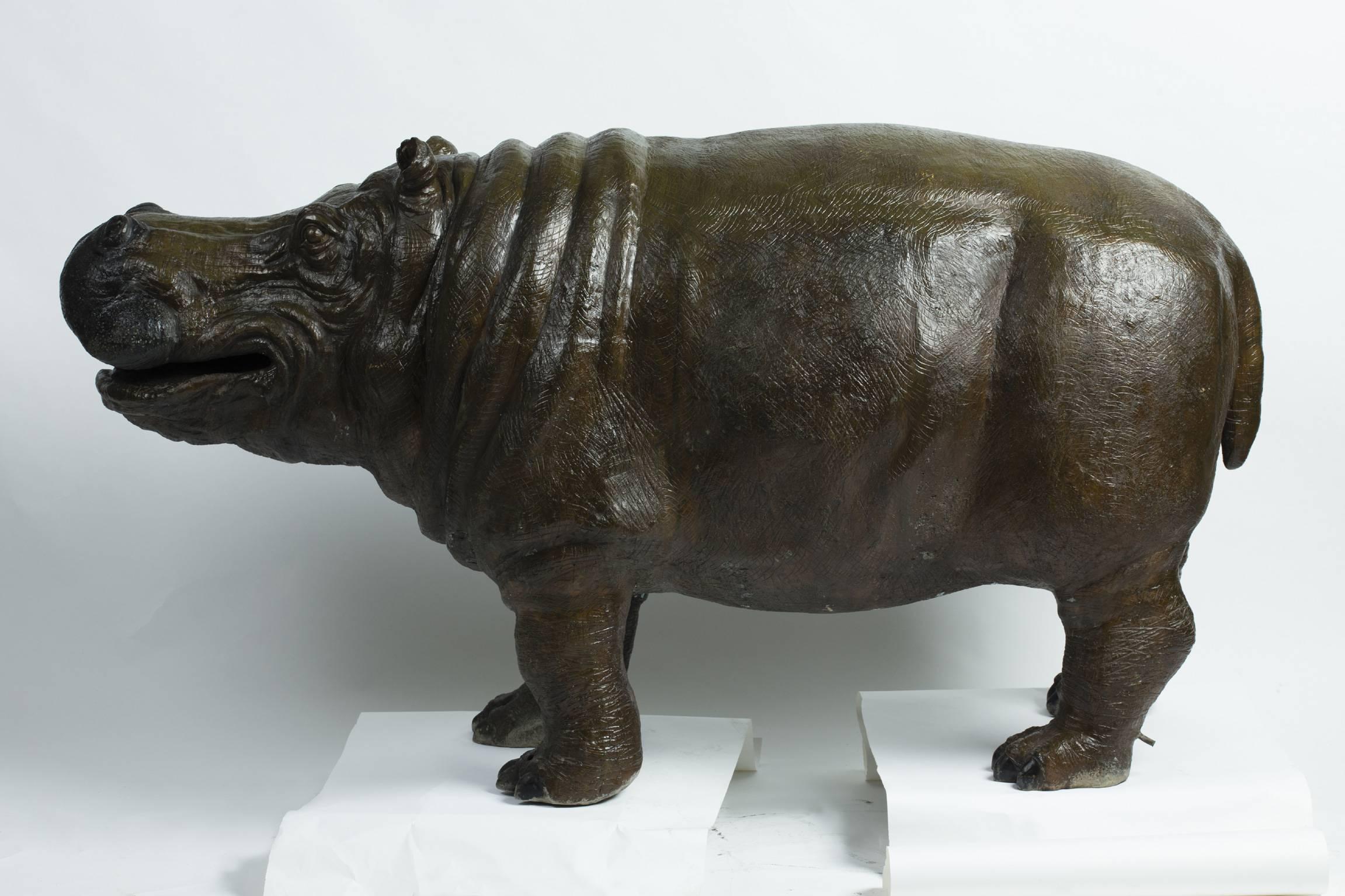 Bronze sculpture depicting a young hippopotamus. 
It was placed in a pool and was a fountain. A small water supply tube enters in a hind leg and goes inside his mouth to spit out water. 
The four legs are drilled, so as to fix on the