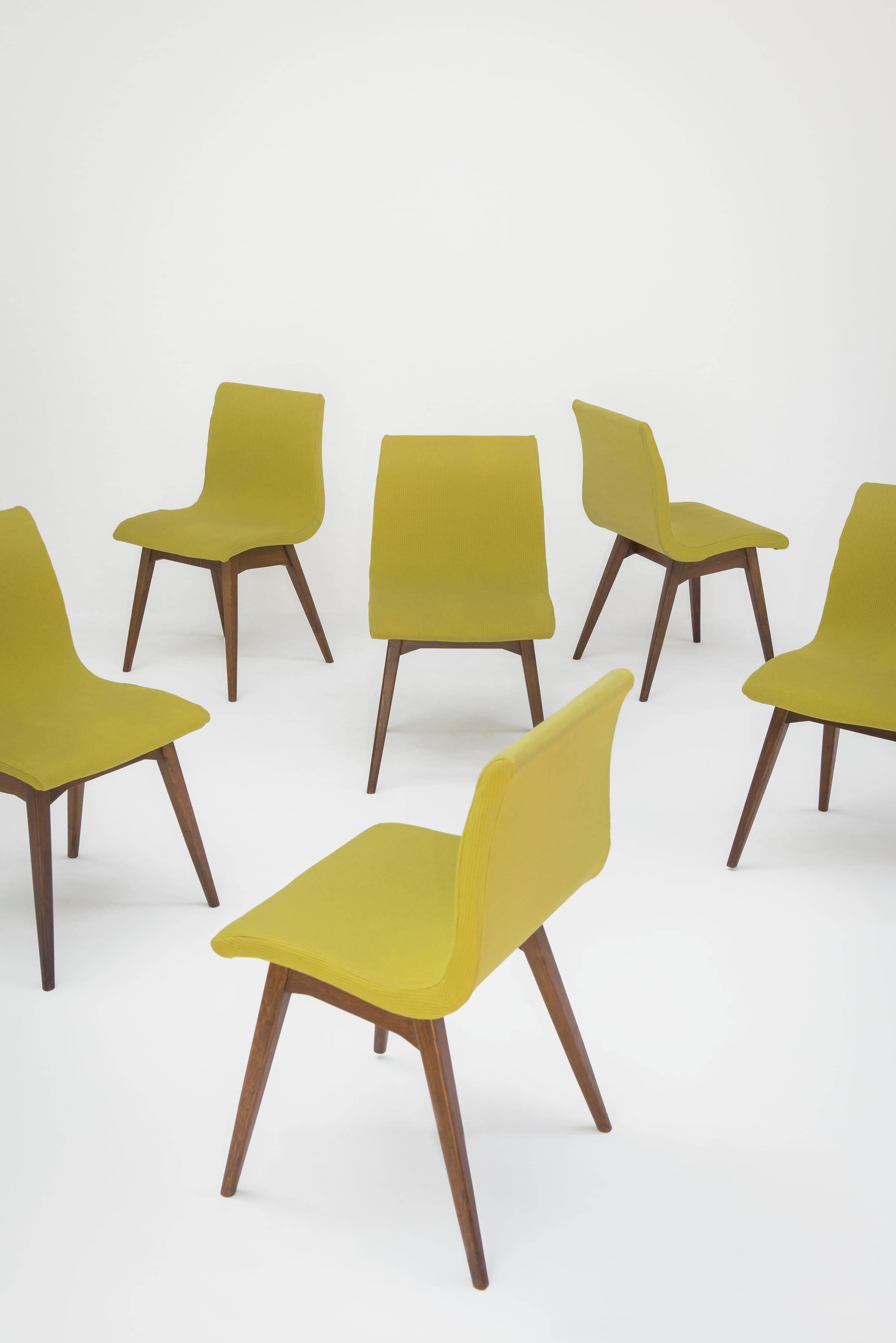 Fabric Set of Six Chairs C59 by René Jean Caillette, Charron Edition, 1960 For Sale