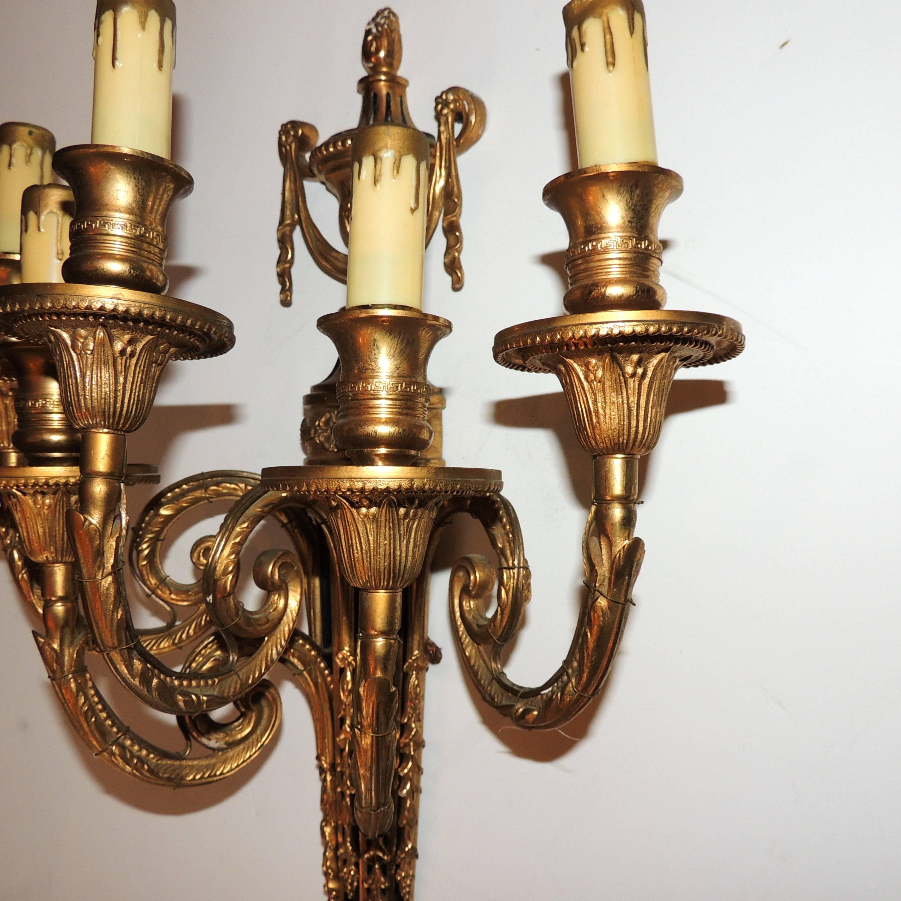 Gilt Wonderful Neoclassical Dore Bronze Patinated Five-Arm Urn Top Regency Sconce For Sale