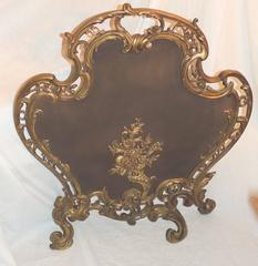 Extraordinary Dore Bronze Fire Place Screen Scrolls Floral Medallion Firescreen