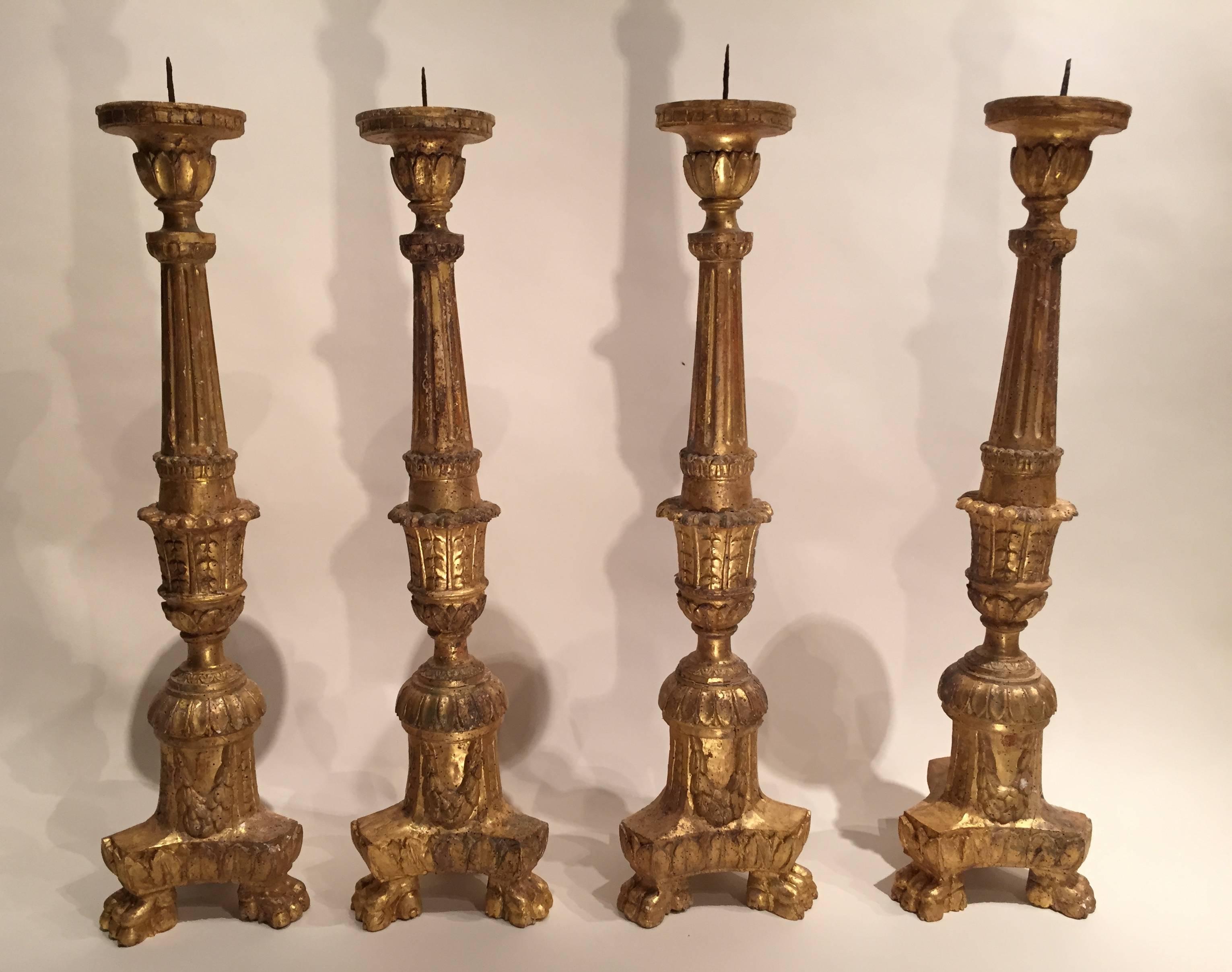 Set of Four Italian Candles, Tuscany 18th century
Set of four wooden skewers , candles golden linden leaf.
Model tripod legs , the barrels balusters exquisitely carved with garlands and palm leaves .

Excellent state of preservation , original