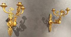 Pair of French Fine Ormolu Swan Sconces, Paris Empire Period, circa 1810