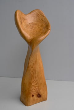 Abstract Mid-Century Modern Organic Wooden Sculpture, 1960's