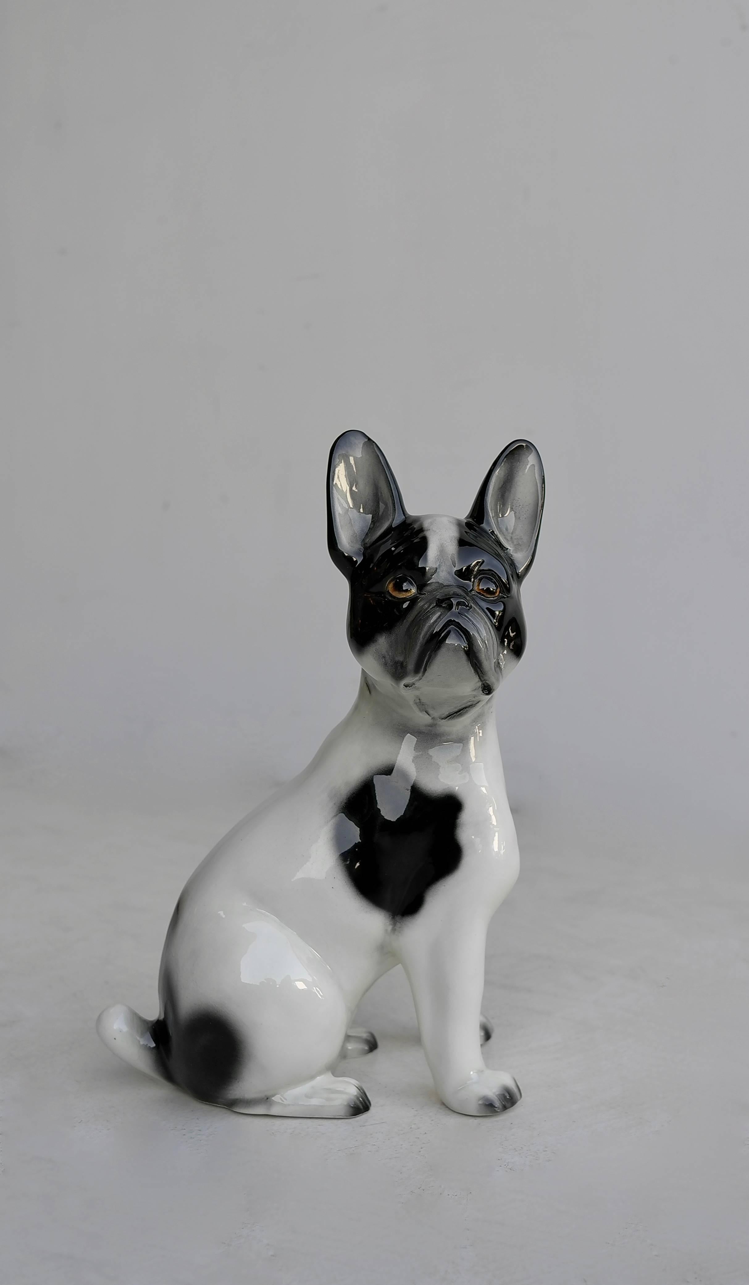 Porcelain French bulldog, Italy, 1960s.