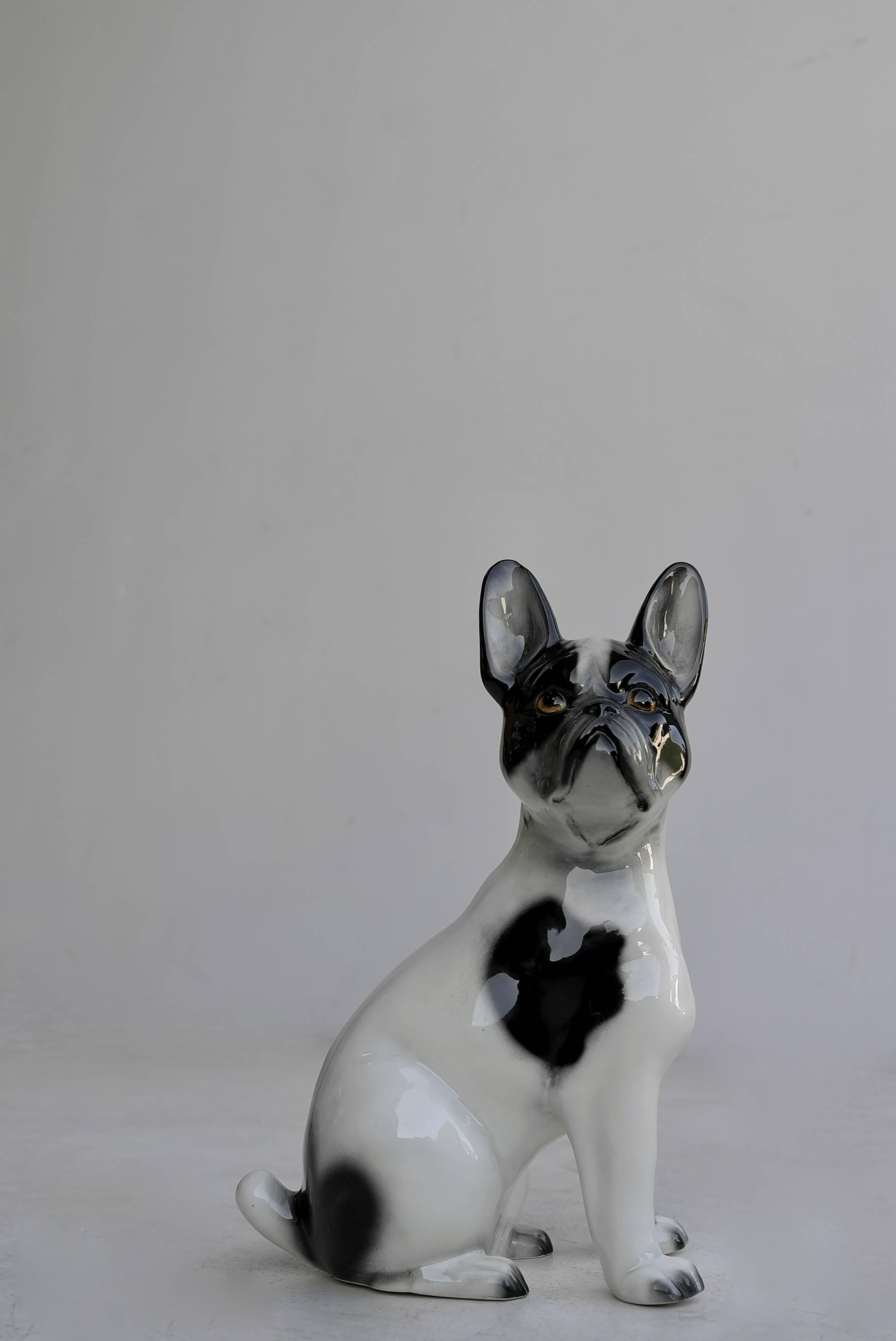 Mid-Century Modern Porcelain French Bulldog, Italy, 1960s