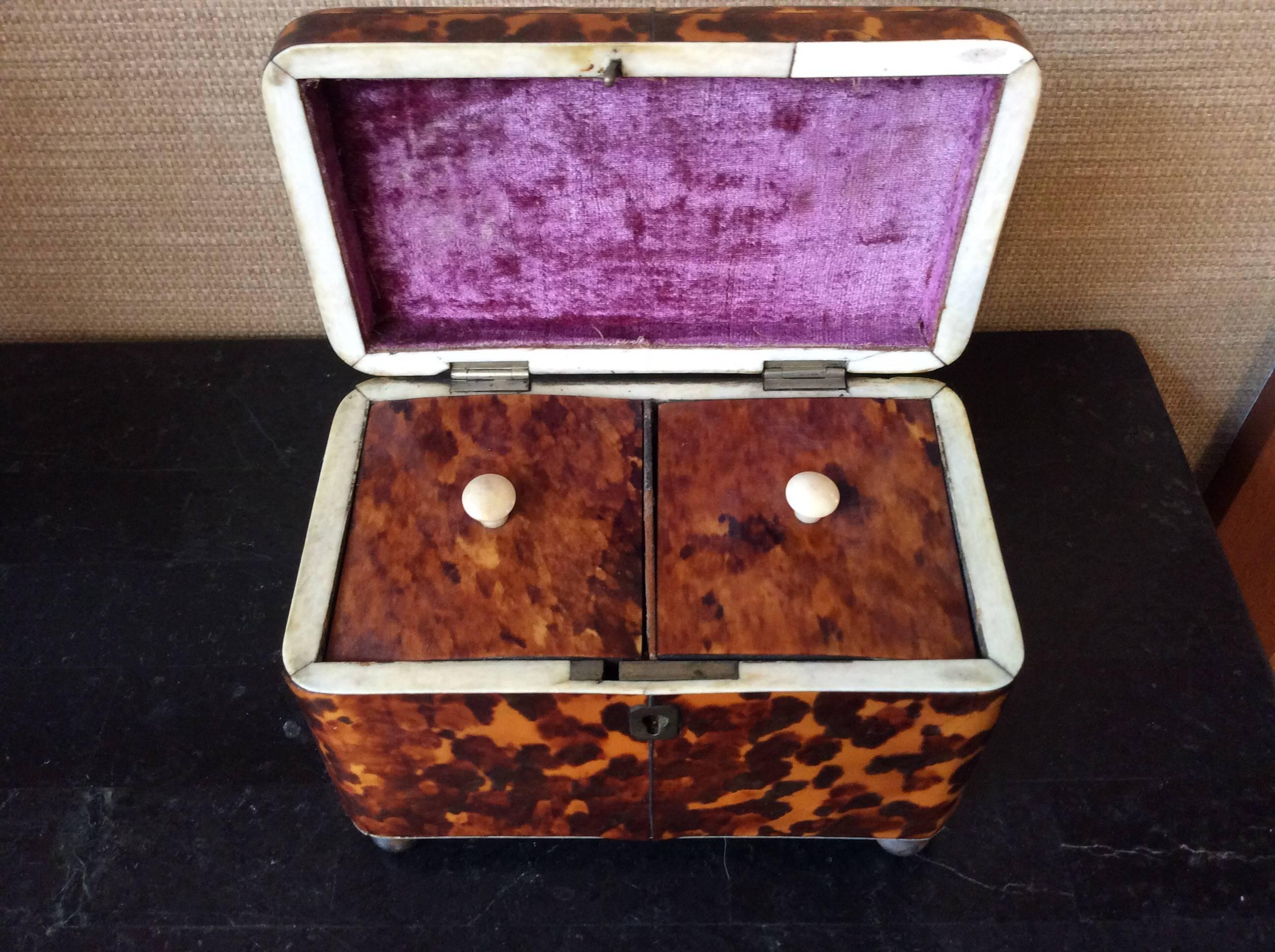 English Georgian Tortoiseshell Tea Caddy