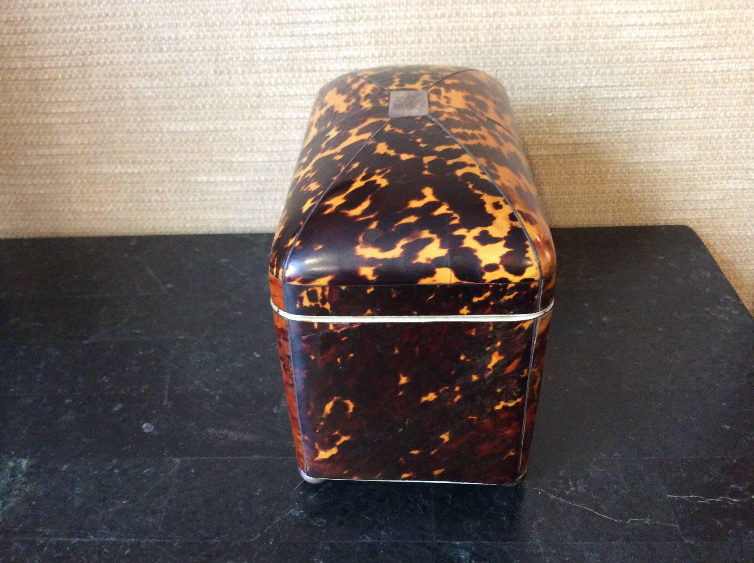 19th Century Georgian Tortoiseshell Tea Caddy