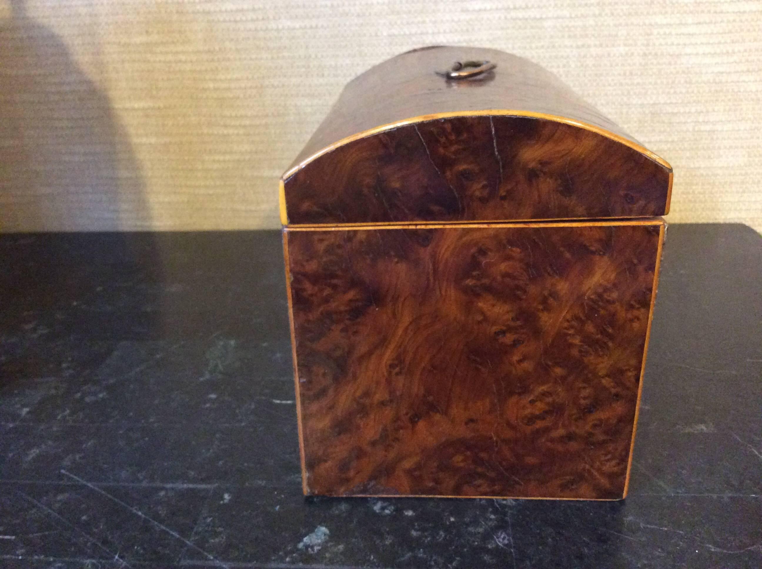 English Burl Yew Wood Tea Caddy with Dome Top In Excellent Condition For Sale In Highland Park, IL