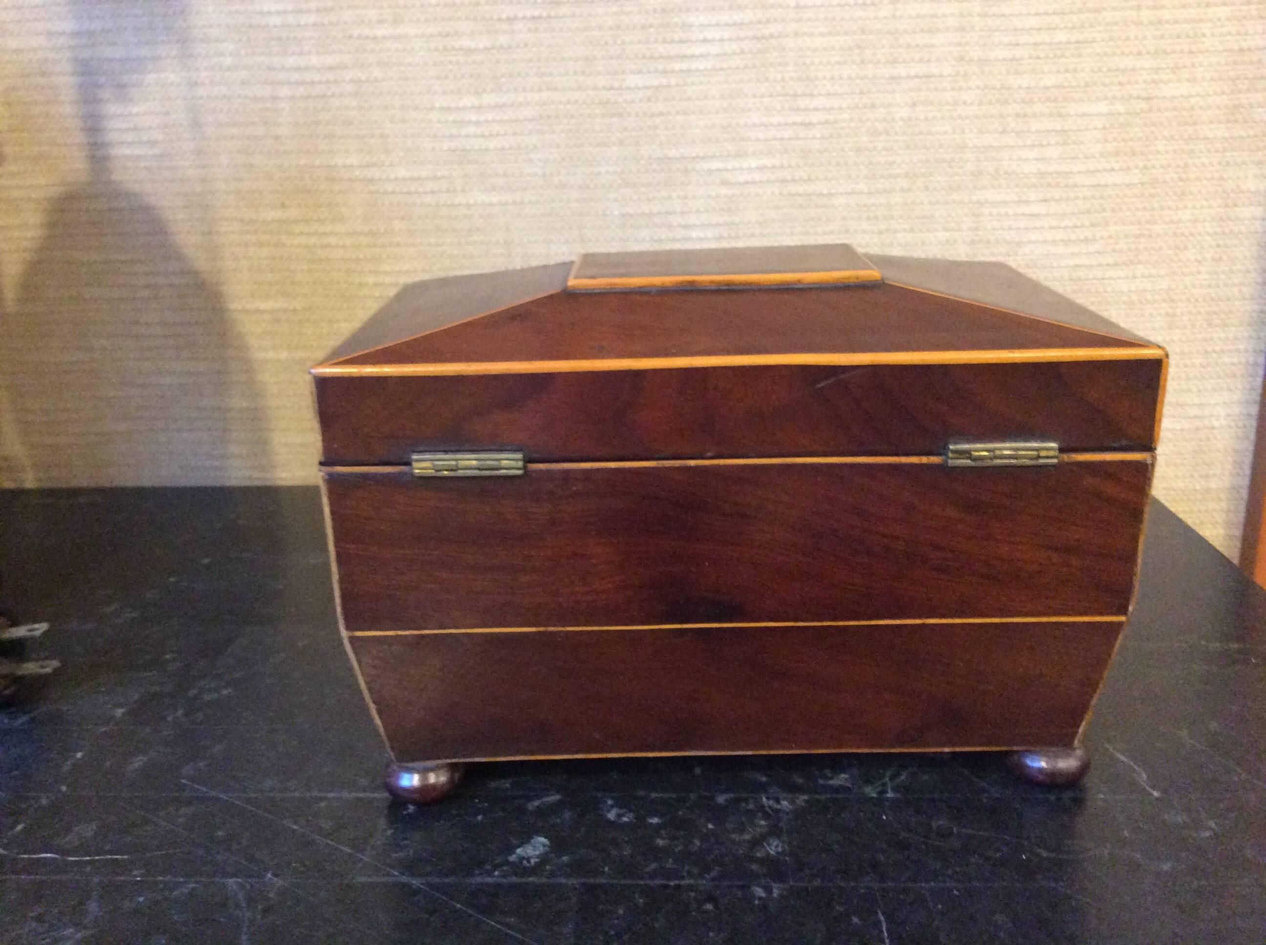 European 19th Century Tea Caddy with Brass Handles