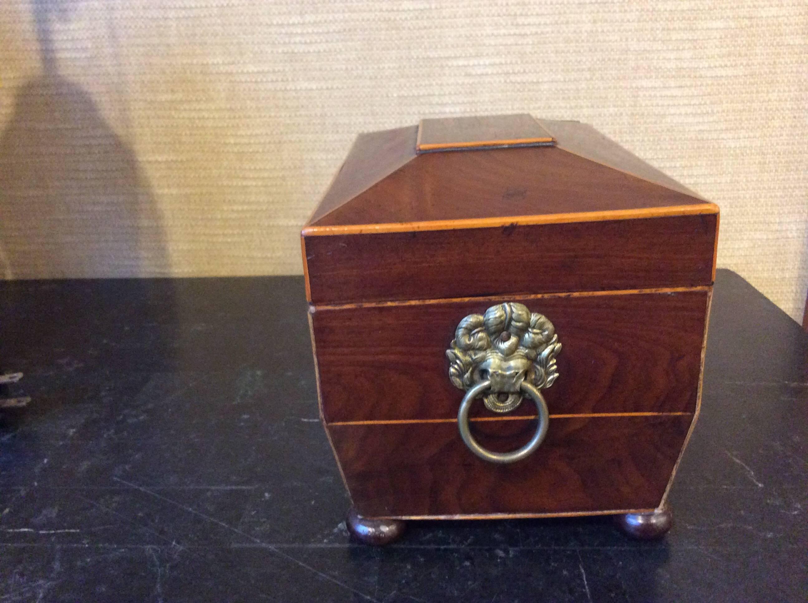 19th Century Tea Caddy with Brass Handles In Good Condition In Highland Park, IL