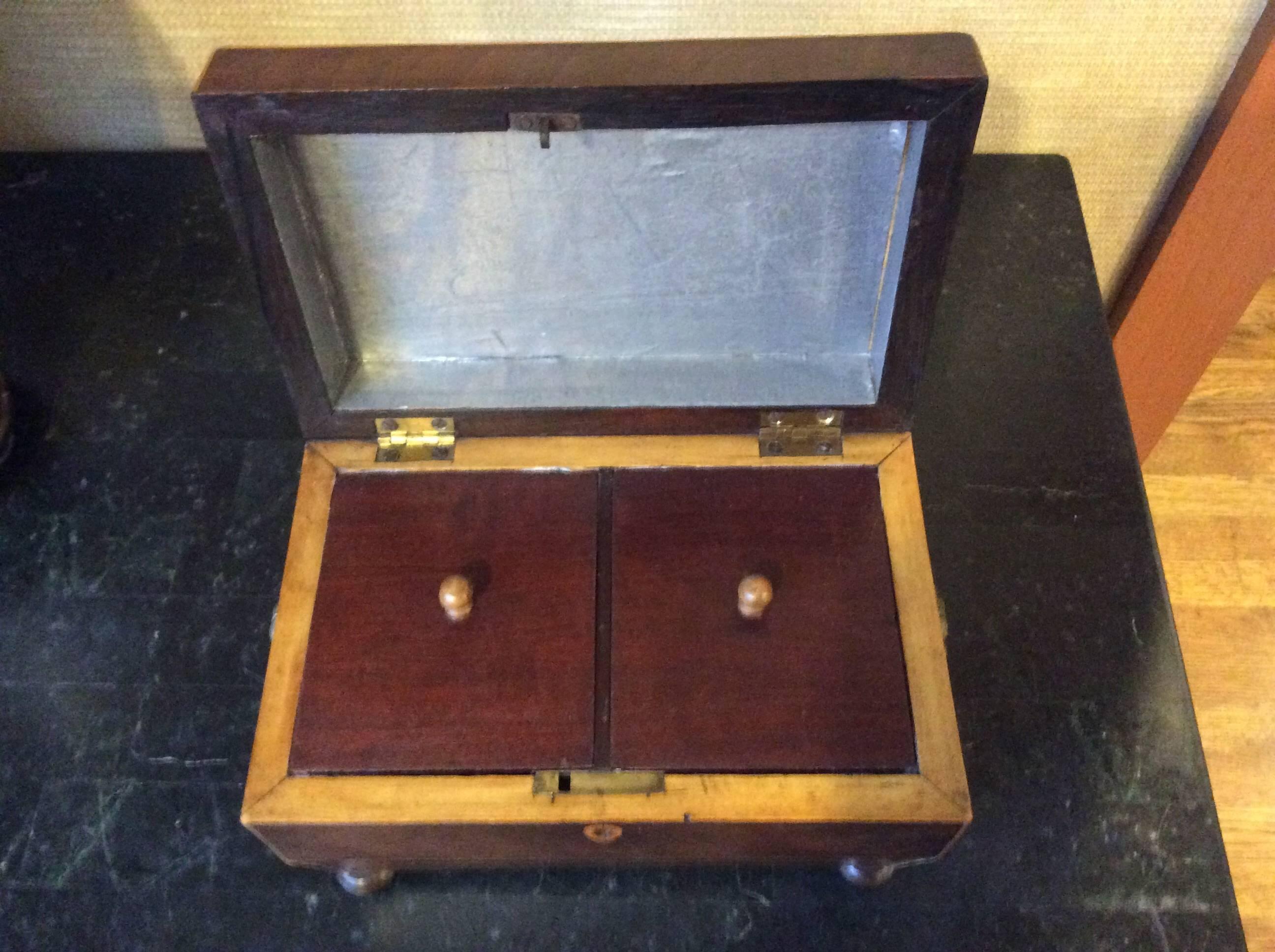 19th Century Tea Caddy with Brass Handles 1