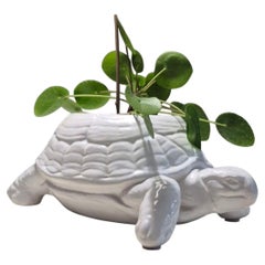 White ceramic turtle planter, Italy 1970s