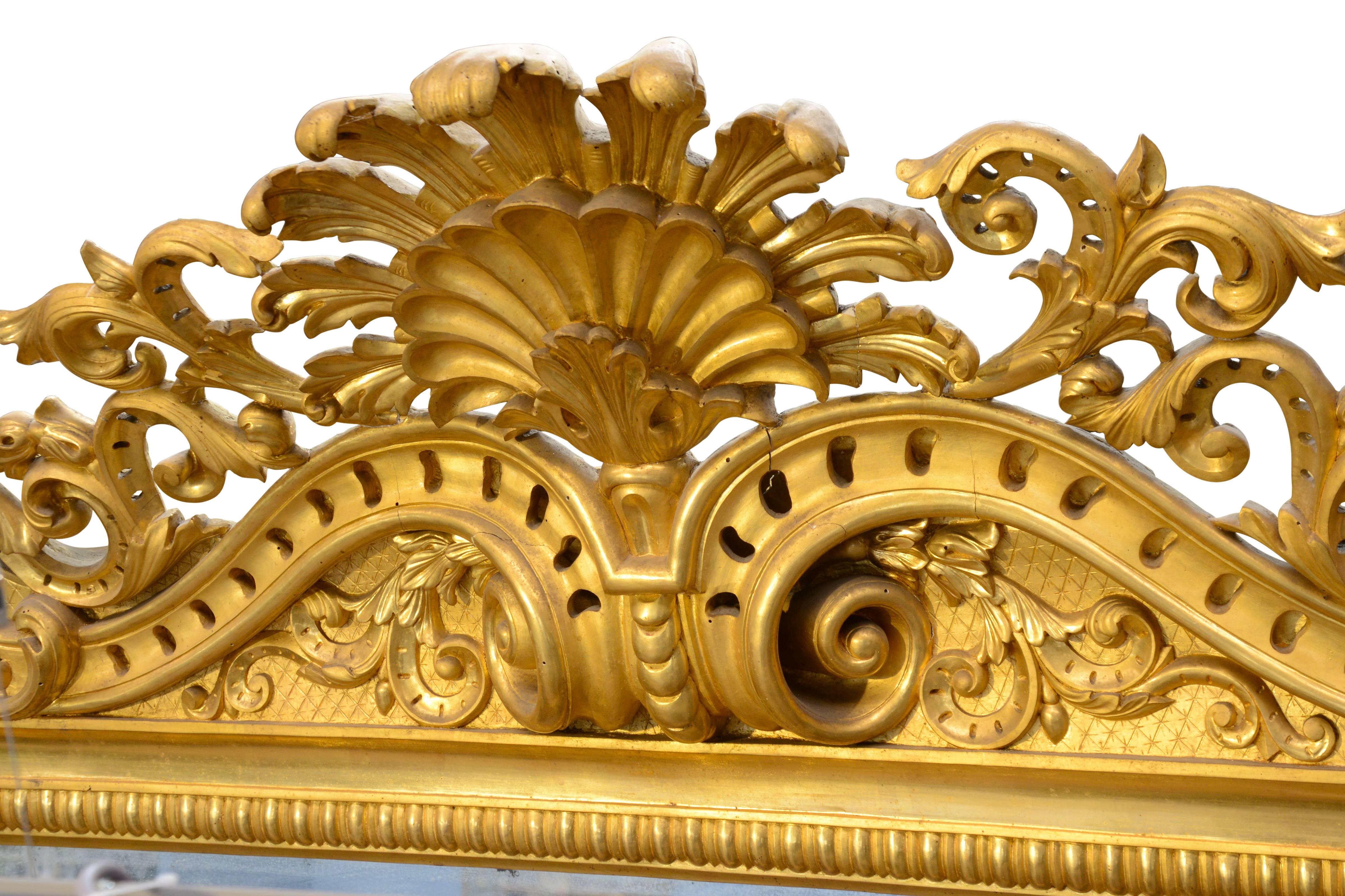 Dated from the early 19th century, imposing Italian Baroque style mirror in carved and gilded wood. Bordered by a frieze of ovals, large volutes and shells adorned with foliage and acanthus leaves frame the mirror. A large shell overhangs the