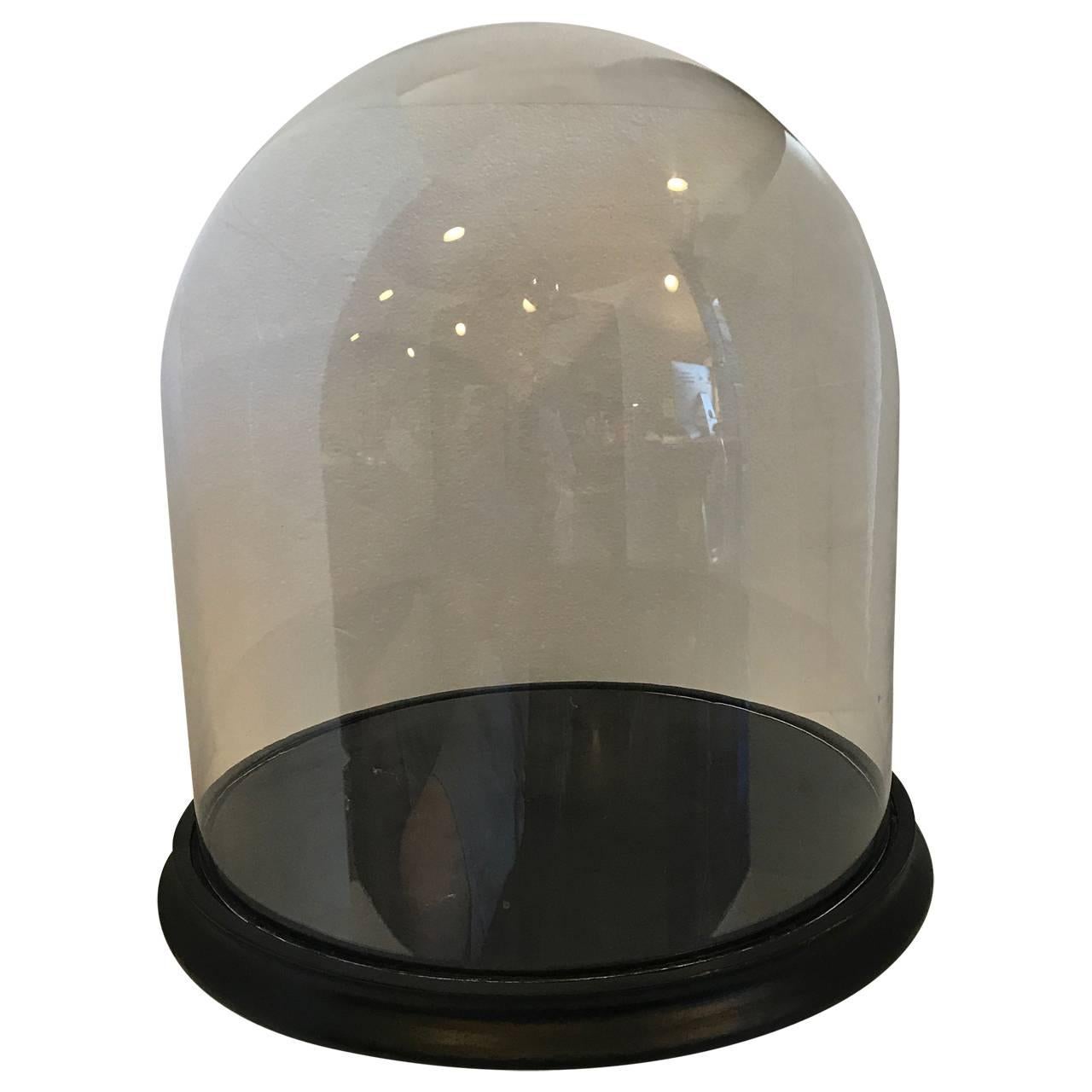 Two old glass dome displays.
The larger one features a thinner glass dome than the other dome.
Dome A, with thicker glass and no feet measures: 
H: 12.8 inches
Diameter: 11.5 inches
Dome B, taller with 3 feet and thinner glass measures:
H: