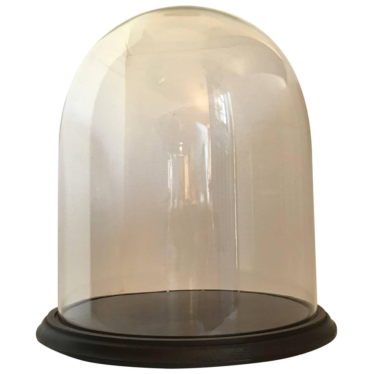 Industrial Two Glass Displays Domes Cloche