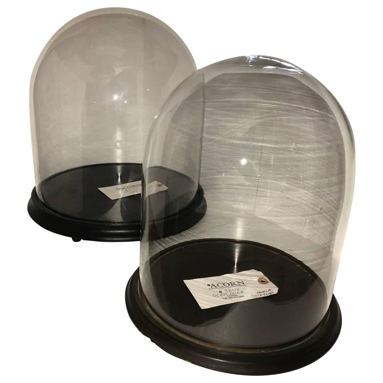 Two Glass Displays Domes Cloche