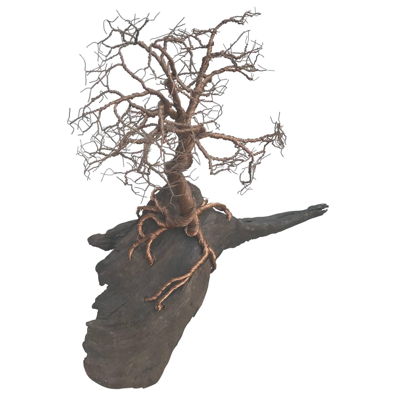 Mid-Century Modern gilded wire sculpture on a large driftwood base by Mauricio Santelice. This piece is an interesting table sculpture; the driftwood base holds the life-like tree figure. The modern earthy design is timeless and will compliment any