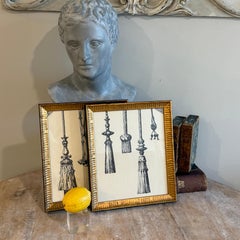 Coppia di stampe artistiche con nappe in cornici di legno scanalato dorato