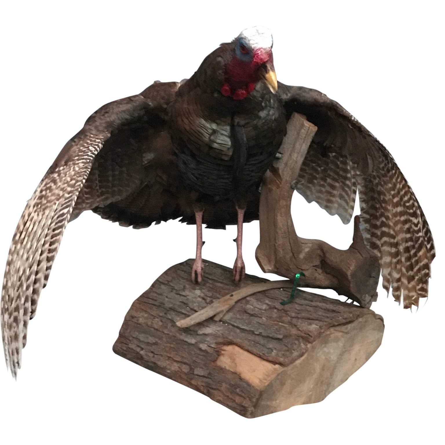 Large Taxidermy Turkey On Wooden Stand In Fair Condition In Haddonfield, NJ