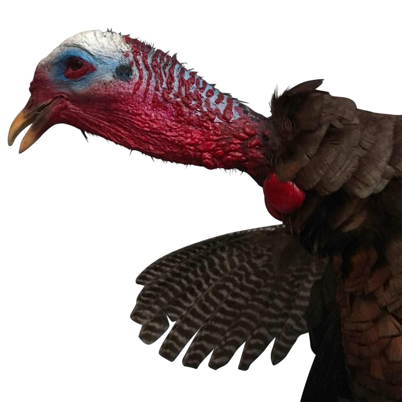 Large Taxidermy Turkey On Wooden Stand 1