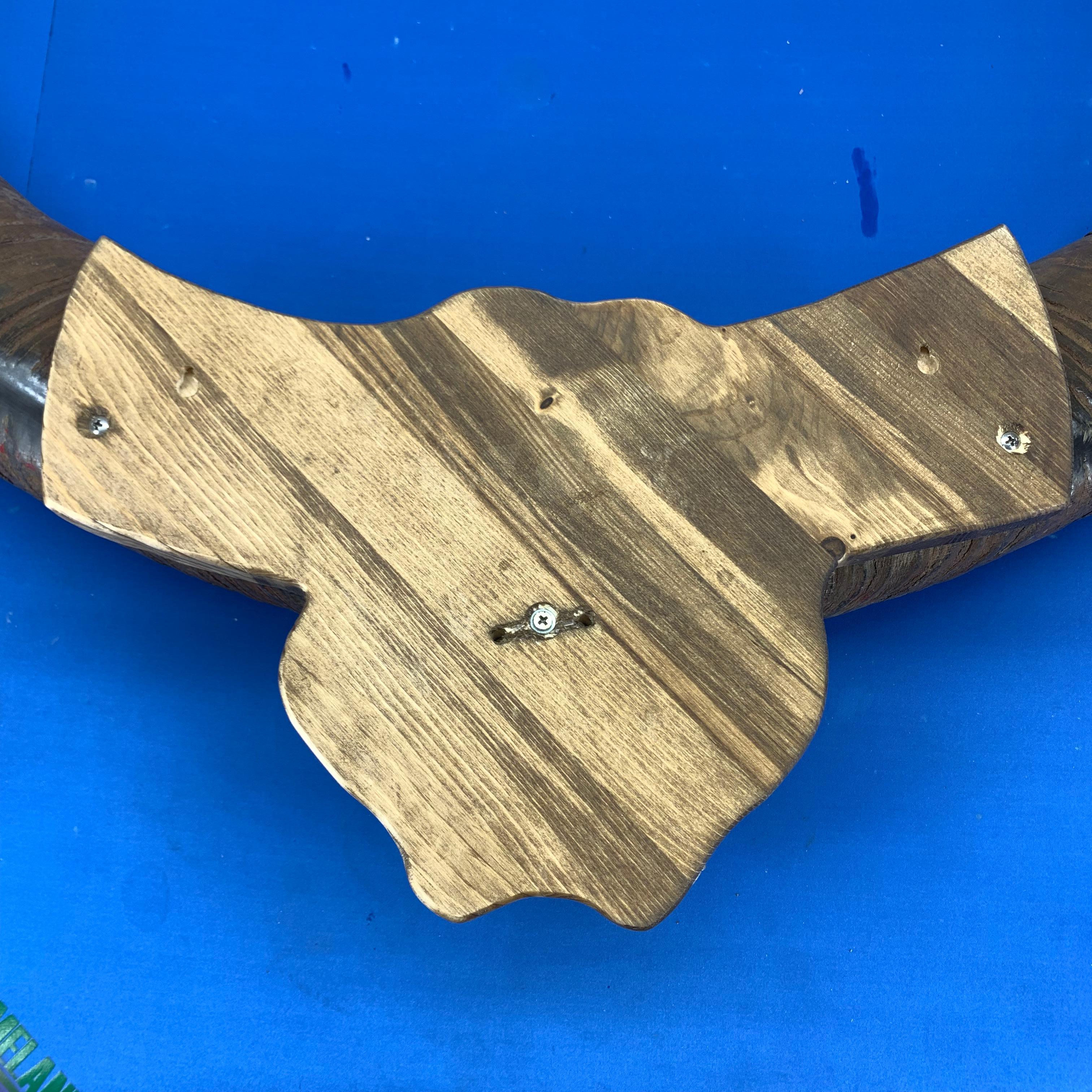 Large Antler of Water Buffalo on Custom Made Maple-Wood Plaqueo 4
