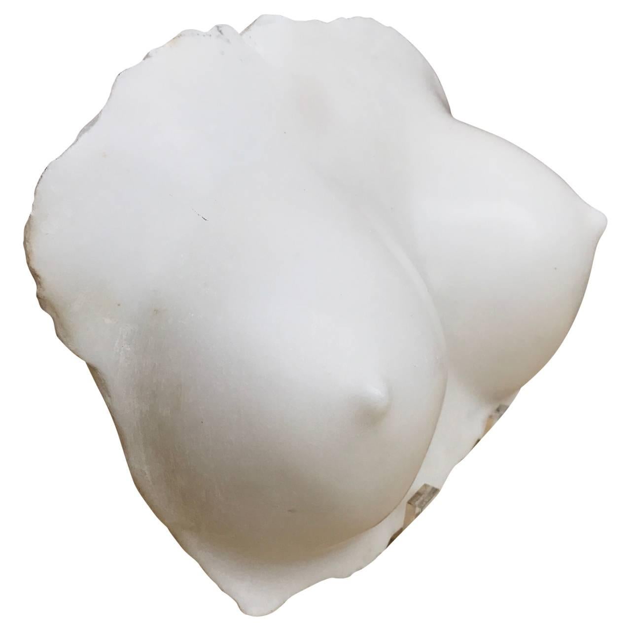 Marble fragment sculpture of bosoms.
  