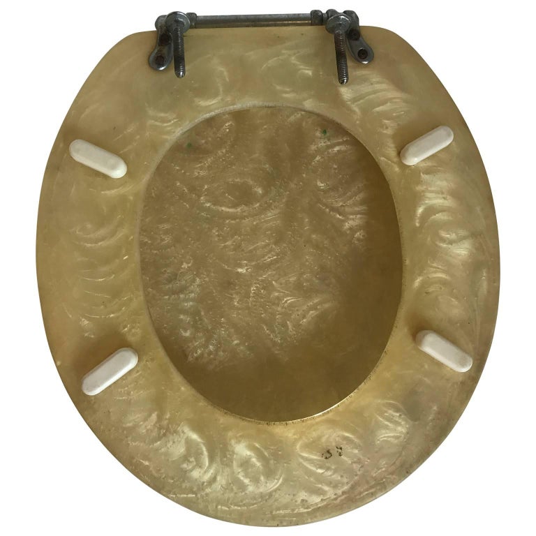 MidCentury Modern MixedMedia Art Work of a Lucite Toilet Seat For